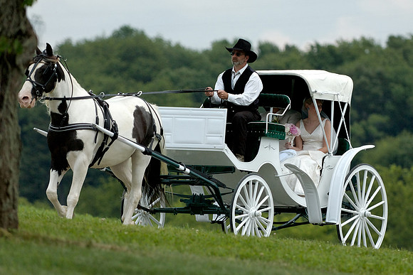 The Bride and Her Carriage