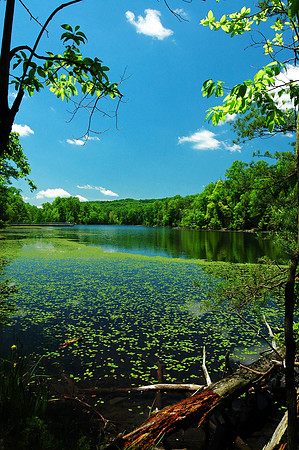 Bays Mountain Lake