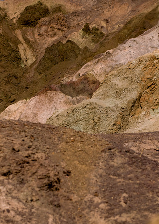 Artist's Palette