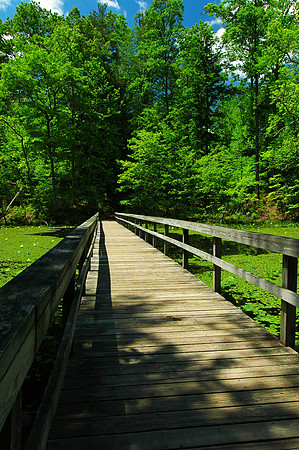 Floating Bridge