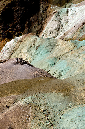 Artist's Palette